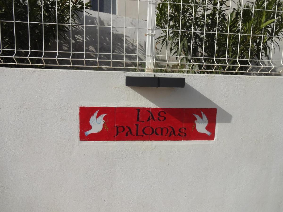 Las Palomas, Appartement 3 Chambres Avec Piscine Turís Dış mekan fotoğraf