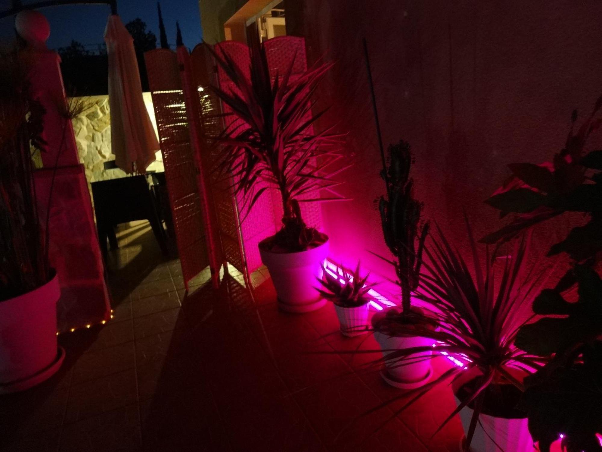Las Palomas, Appartement 3 Chambres Avec Piscine Turís Dış mekan fotoğraf