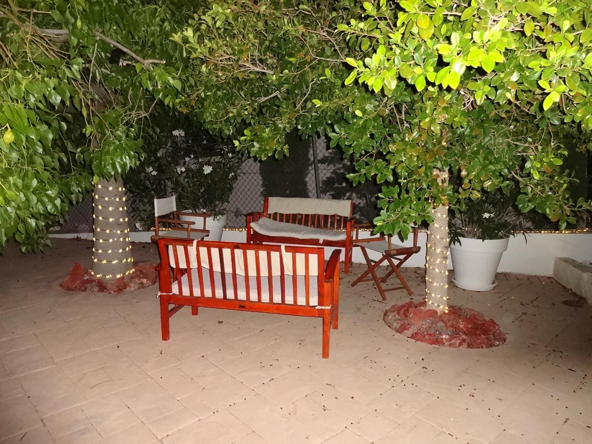 Las Palomas, Appartement 3 Chambres Avec Piscine Turís Dış mekan fotoğraf