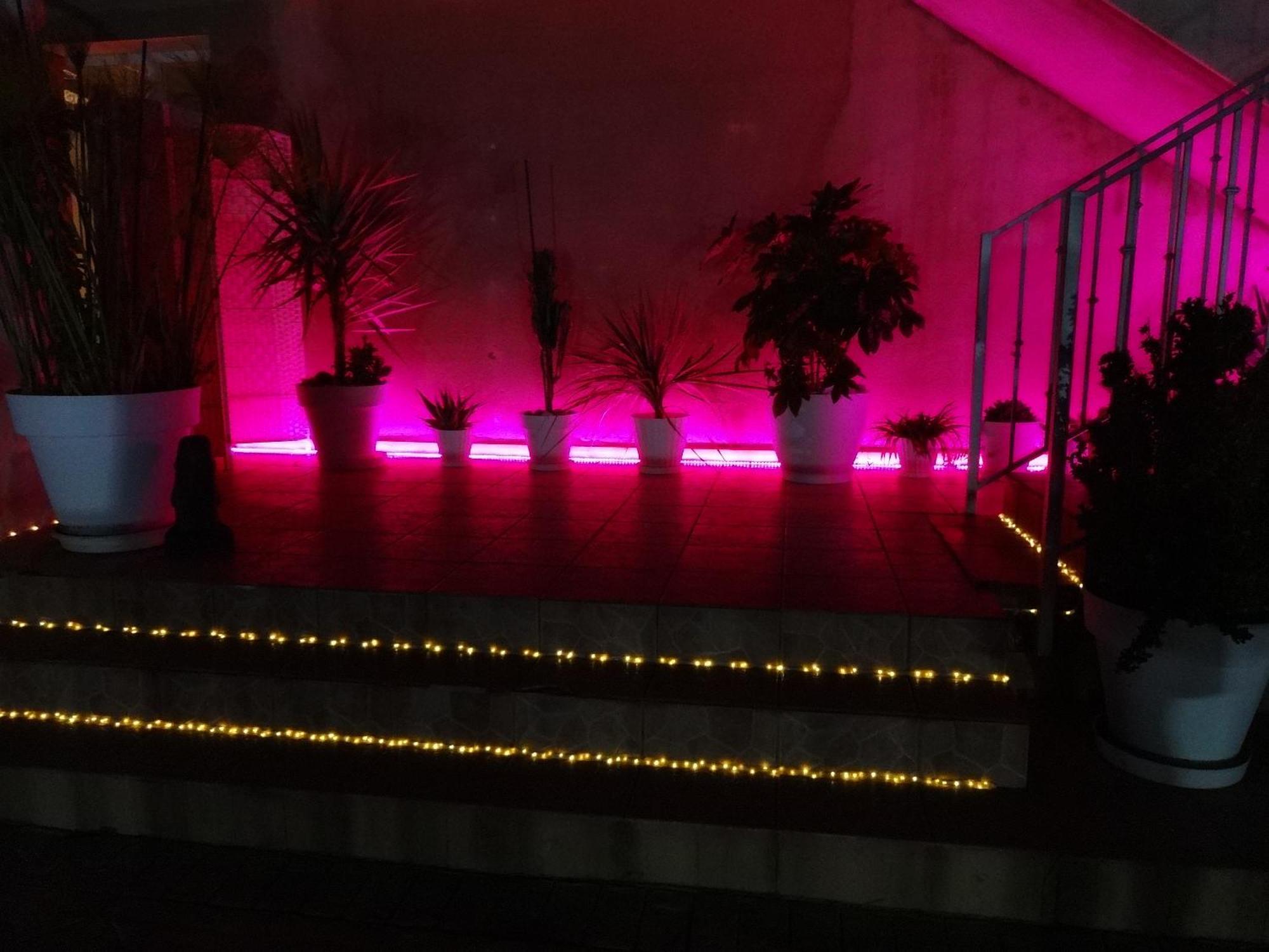 Las Palomas, Appartement 3 Chambres Avec Piscine Turís Dış mekan fotoğraf